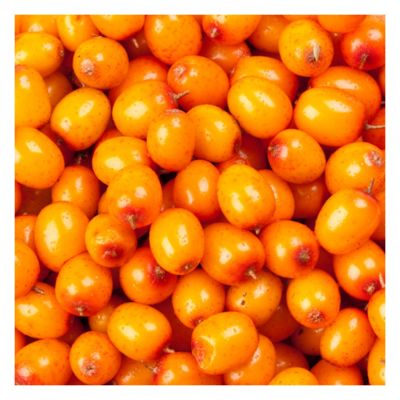 Wholesale Organic Sea Buckthorn Frozen Sea Buckthorn Berries
