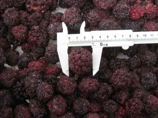 High Brix Berries Fruits IQF Frozen Blackberry for Juice Jam Topping