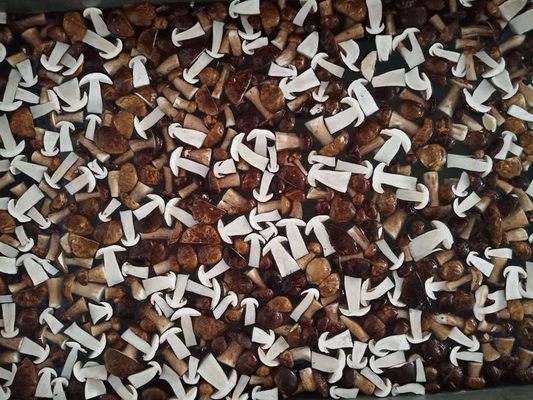 Frozen Mushrooms IQF BOLETUS EDULIS Grade A  24 Months Shelf Life ISO HACCP BRC KOSHER HALAL Certified 10 tons MOQ