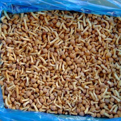 冷凍フルーツ 冷凍きのこ IQF 冷凍なめこ