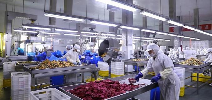 高品質の冷凍ラズベリー 大量 冷凍ラズベリー 大量包装 フルーツ 9