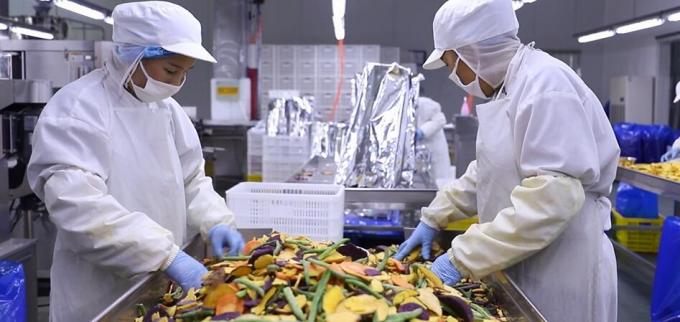 高品質の冷凍ラズベリー 大量 冷凍ラズベリー 大量包装 フルーツ 10