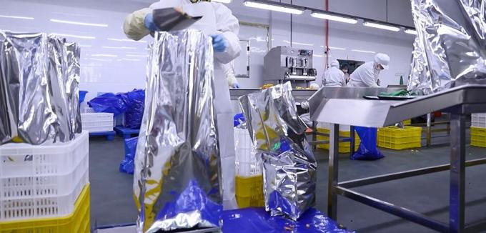 高品質の冷凍ラズベリー 大量 冷凍ラズベリー 大量包装 フルーツ 11