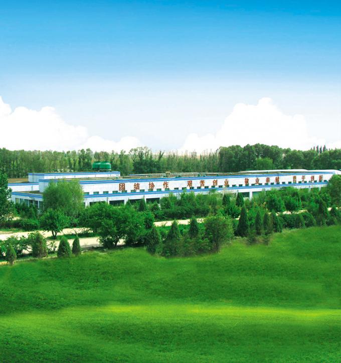 シノチャーム 4つ星製品 BRC-A 鮮やかな黄桃 10x10mm 冷凍 果物 立方体 IQF 黄桃 立方体 8