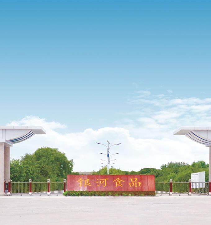 シノチャーム 4つ星製品 BRC-A 鮮やかな黄桃 10x10mm 冷凍 果物 立方体 IQF 黄桃 立方体 9