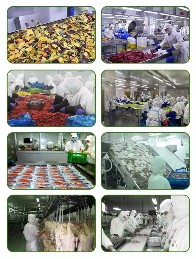 卸売 卸売 詰め込み 冷凍 カボチャ 切片 イクフ カボチャ 切片 冷凍 野菜 5