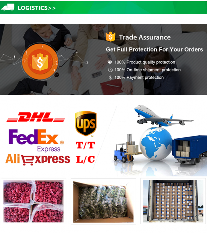 卸売 IQF 冷凍パイナップルキューブ 冷凍フルーツ リーズナブル価格 5