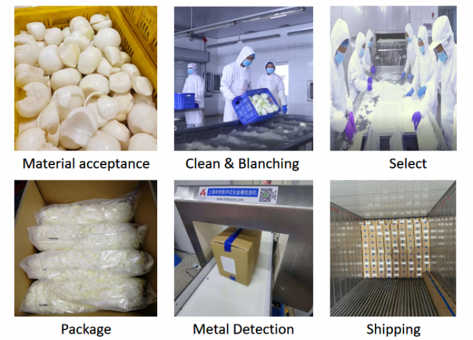冷凍玉ねぎダイスの卸売りの大セール 1