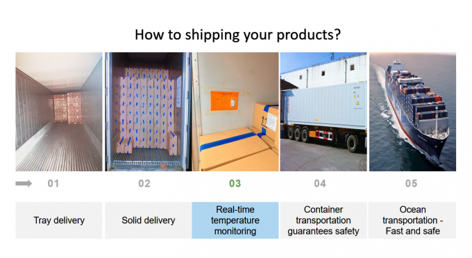 中国からの冷凍イクフバナナ 高品質で輸出のために切った熱製品 2