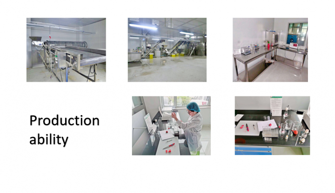 中国供給、最高品質、お買い得価格、IQF冷凍野菜、丸オクラ、ガンボ 7