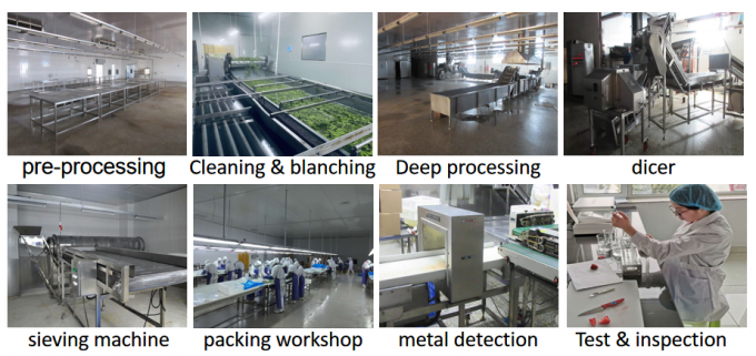 中国供給、最高品質、お買い得価格、IQF冷凍野菜、丸オクラ、ガンボ 8