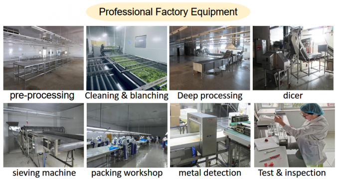 メーカー 工場価格 IQF 高品質 新鮮食品 冷凍 ラズベリー セルビア 輸出 6