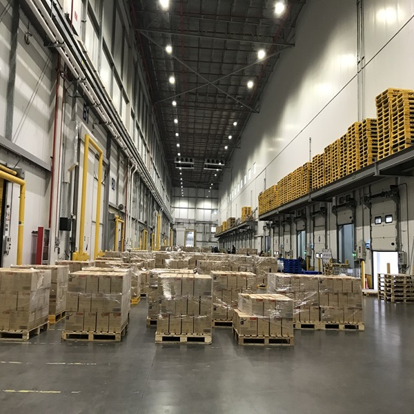 格安価格 最高品質 低脂肪 クリーン HALAL認証 冷凍ラムレバー 1