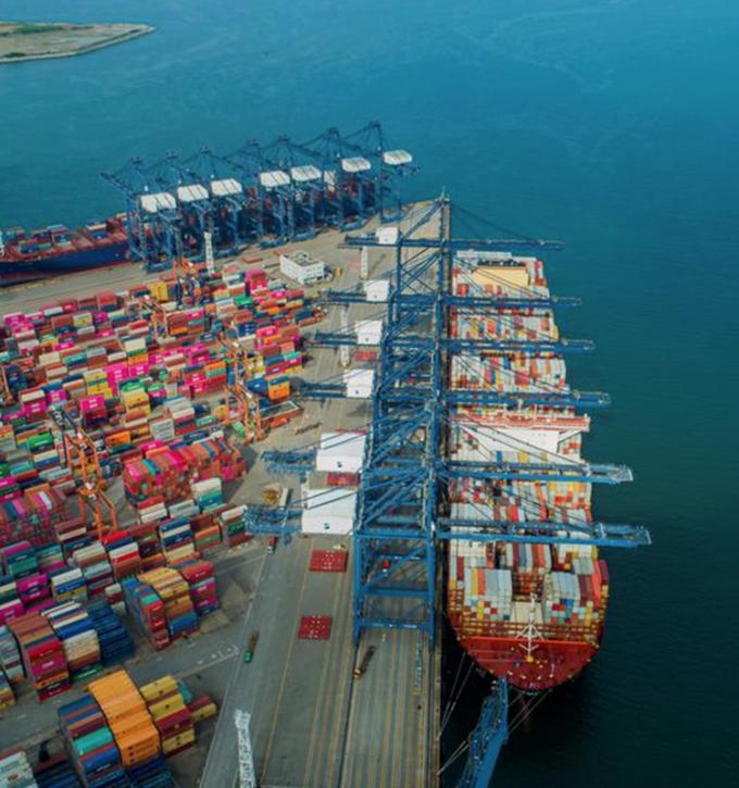 IQF オーガニック 黄桃 半分 冷凍 果物 甘い味 卸し 梱包 保存 水 パルプ 全立方体 ダイス 半分 入手可能 13