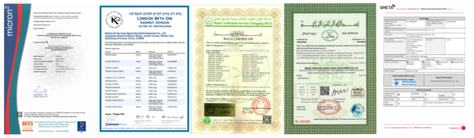 高品質競争力のある価格の冷凍トウモロコシスイートコーンカーネル有機非遺伝子組み換えバルクパッキング 8