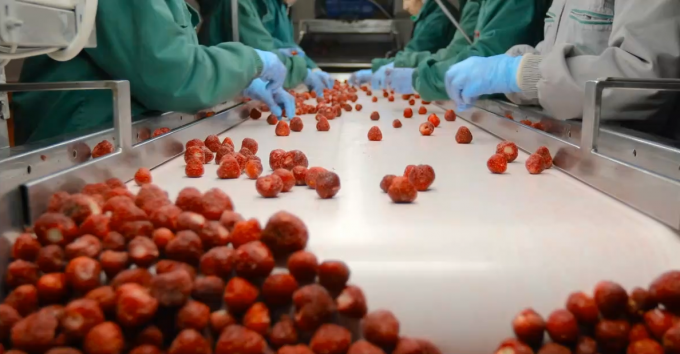 高品質IQF冷凍アプリコットハーフ 卸売および小売向けホットセール 工場価格 水分保持 バルク包装 3