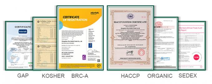 HALAL認定冷凍野菜工場 IQF トマトパック 10mm 冷凍パック トマトパック 中国 1