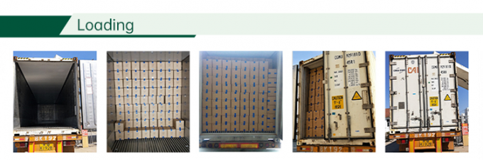 HALAL認定冷凍野菜工場 IQF トマトパック 10mm 冷凍パック トマトパック 中国 4