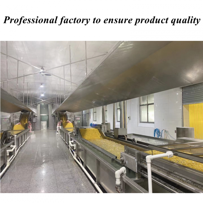 高品質競争力のある価格の冷凍トウモロコシスイートコーンカーネル有機非遺伝子組み換えバルクパッキング 1