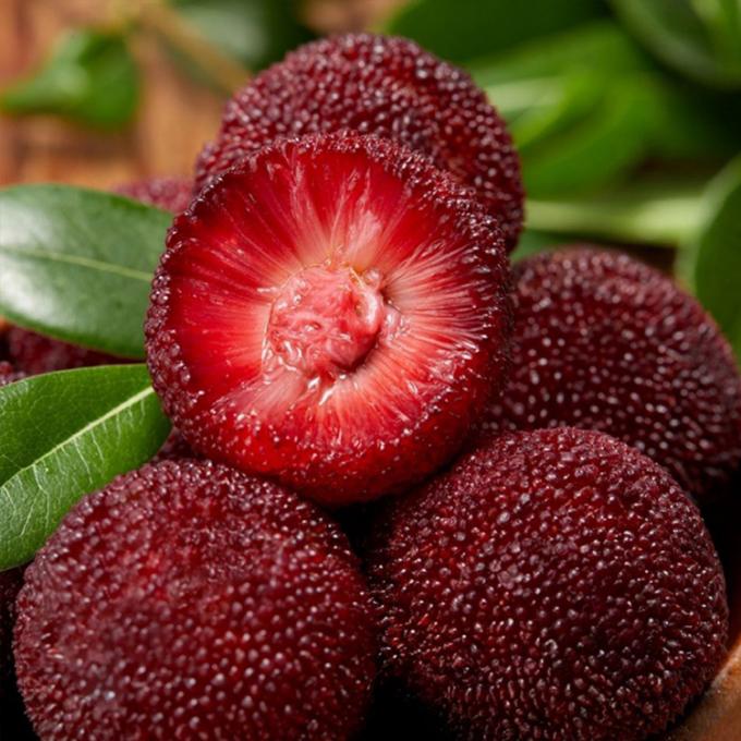 冷凍フルーツ IQF 赤丸楊梅（ようばい） ベイベリー 工場価格 バルク 冷凍ワックスベリー 2