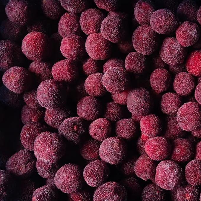 冷凍フルーツ IQF 赤丸楊梅（ようばい） ベイベリー 工場価格 バルク 冷凍ワックスベリー 5