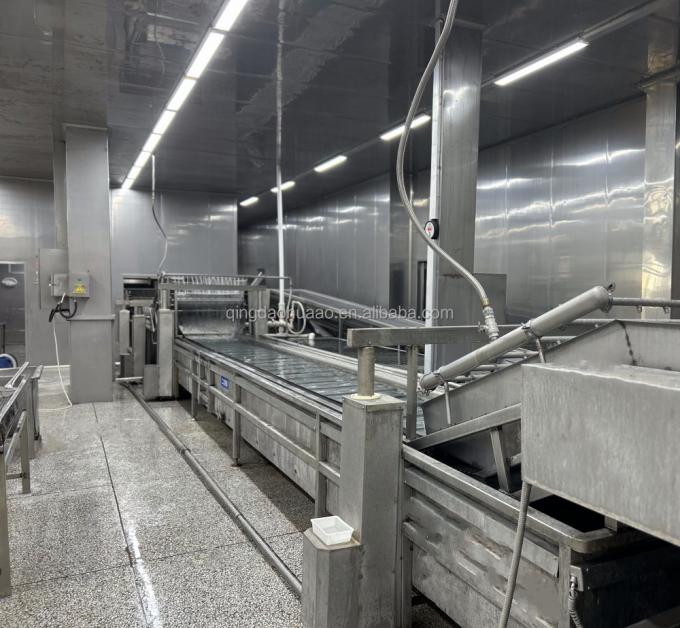 シノチャーム ハラル・コーシャー 新鮮 4*4mm 中国産 IQF 詰め込みジンジャー 供給 1kg 調味料用冷凍ジンジャー 5