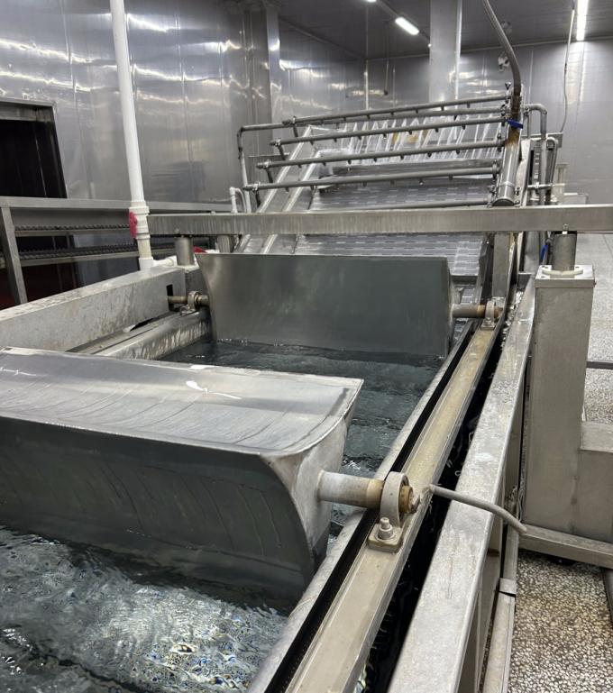 シノチャーム ハラル・コーシャー 新鮮 4*4mm 中国産 IQF 詰め込みジンジャー 供給 1kg 調味料用冷凍ジンジャー 8