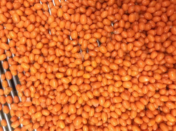 原産地 中国 IQF 新鮮 冷凍 野生の海麻 ファーストクラス 海麻 リンゴベリー ラズベリー,ブルーベリー ミックスベリー 2