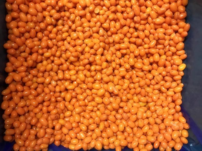 原産地 中国 IQF 新鮮 冷凍 野生の海麻 ファーストクラス 海麻 リンゴベリー ラズベリー,ブルーベリー ミックスベリー 3