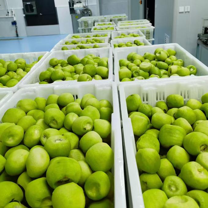 キウイ フルーツ 冷凍 フルーツ 冷凍 キウイ ボール 品質 自然 3