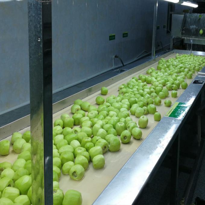 キウイ フルーツ 冷凍 フルーツ 冷凍 キウイ ボール 品質 自然 5