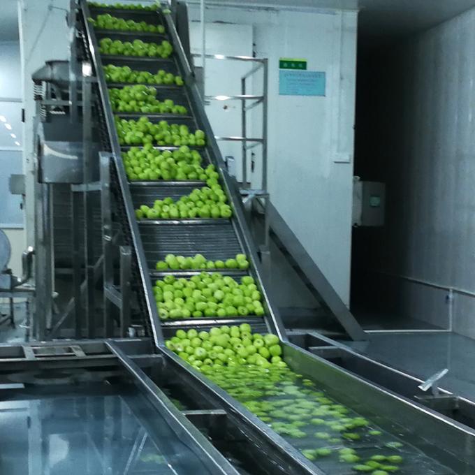 キウイ フルーツ 冷凍 フルーツ 冷凍 キウイ ボール 品質 自然 6