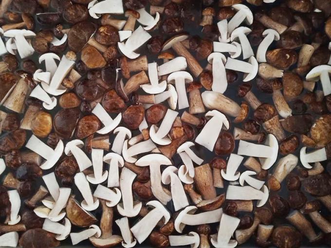 冷凍きのこ IQF ポルチーニ (Boletus edulis) グレードA 24ヶ月保存可能 ISO HACCP BRC KOSHER HALAL 認証 10トン MOQ 0