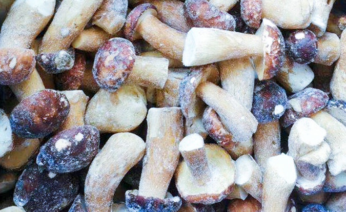 冷凍きのこ IQF ポルチーニ (Boletus edulis) グレードA 24ヶ月保存可能 ISO HACCP BRC KOSHER HALAL 認証 10トン MOQ 2