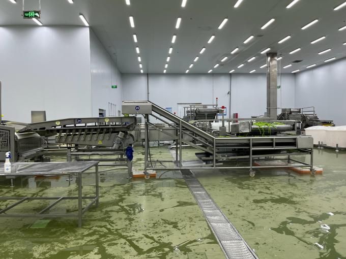 高品質の新鮮冷凍ラズベリー 甘い味のジュース デザート ミルクシェイク 9