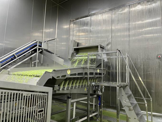 高品質の新鮮冷凍ラズベリー 甘い味のジュース デザート ミルクシェイク 10