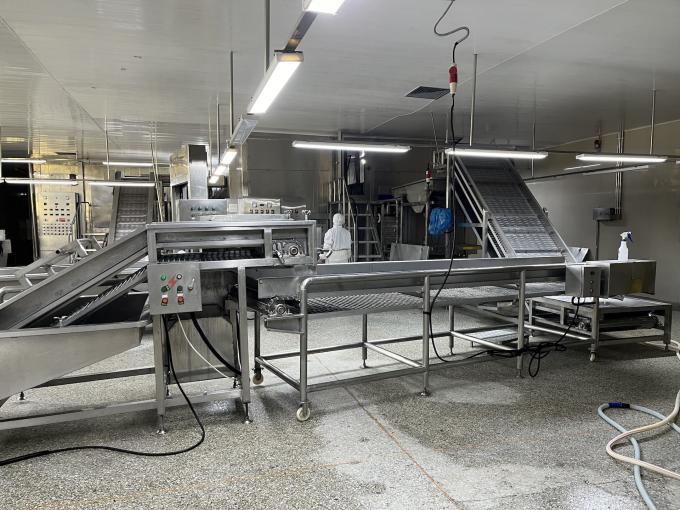 高品質の新鮮冷凍ラズベリー 甘い味のジュース デザート ミルクシェイク 11