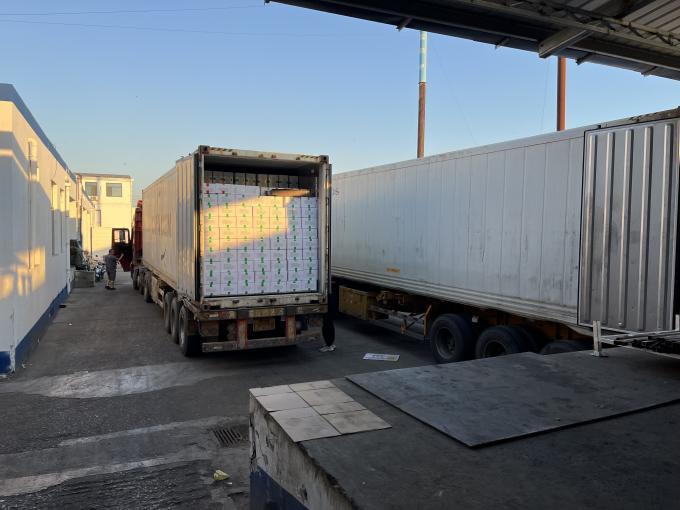 高品質の新鮮冷凍ラズベリー 甘い味のジュース デザート ミルクシェイク 16