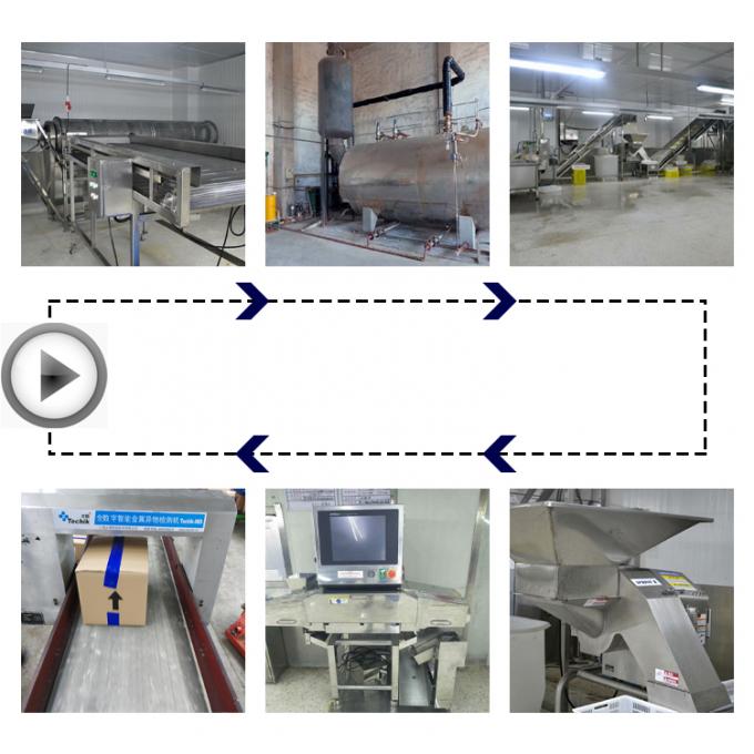 最高品質の冷凍エリンギ卸売 新鮮な収穫 IQF エリンギ カット 3
