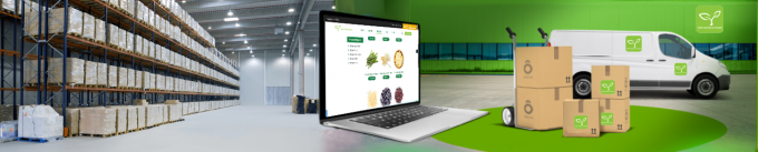 最高品質の冷凍エリンギ卸売 新鮮な収穫 IQF エリンギ カット 8