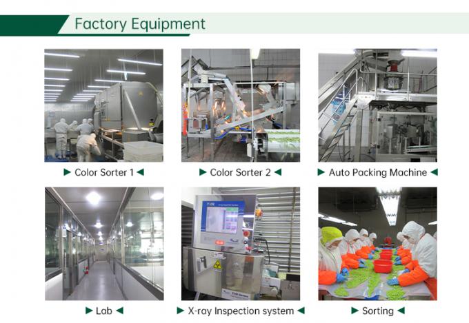IQF冷凍ミックス野菜 新鮮ミックス野菜 6
