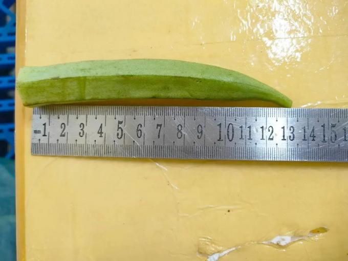 ベトナム産冷凍オクラ（IQF）プレミアム、調理用、ホール＆スライス、卸売バルクサプライヤー 2