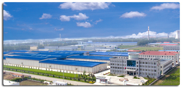 高品質の冷凍無骨鶏乳 輸出 卸荷包装済み 4