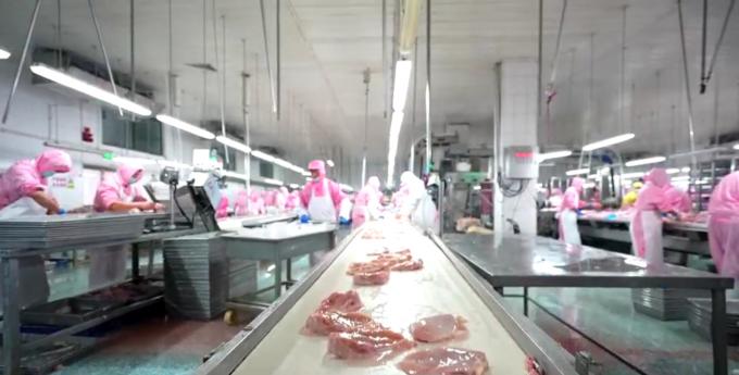 高品質の冷凍無骨鶏乳 輸出 卸荷包装済み 6