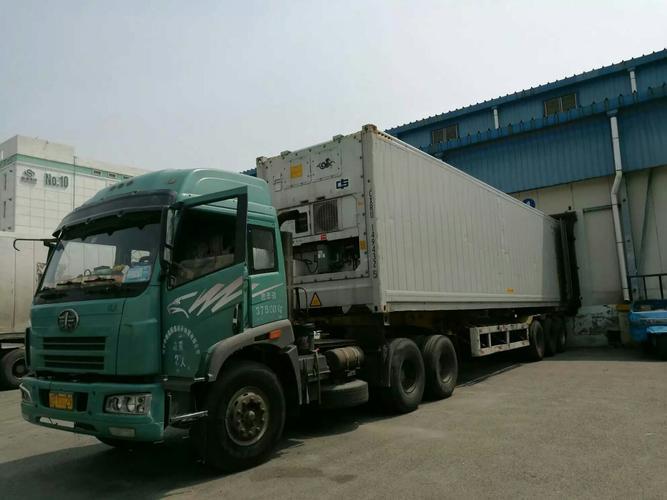 高品質の冷凍無骨鶏乳 輸出 卸荷包装済み 10