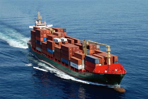 高品質の冷凍無骨鶏乳 輸出 卸荷包装済み 11