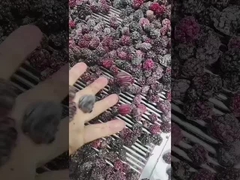 ブラックベリー